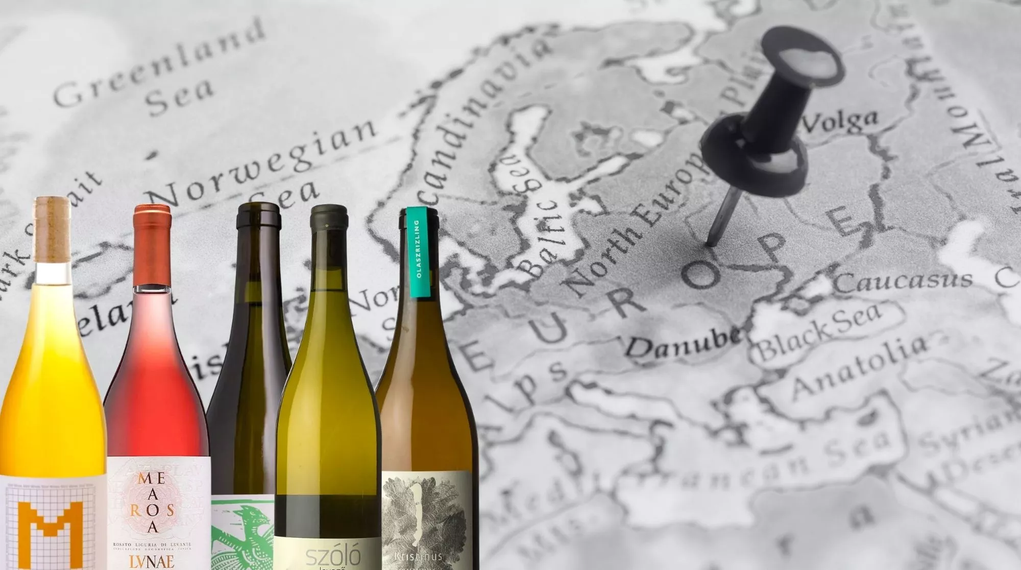 Fotomontaje de un mapa y vinos de Europa Central