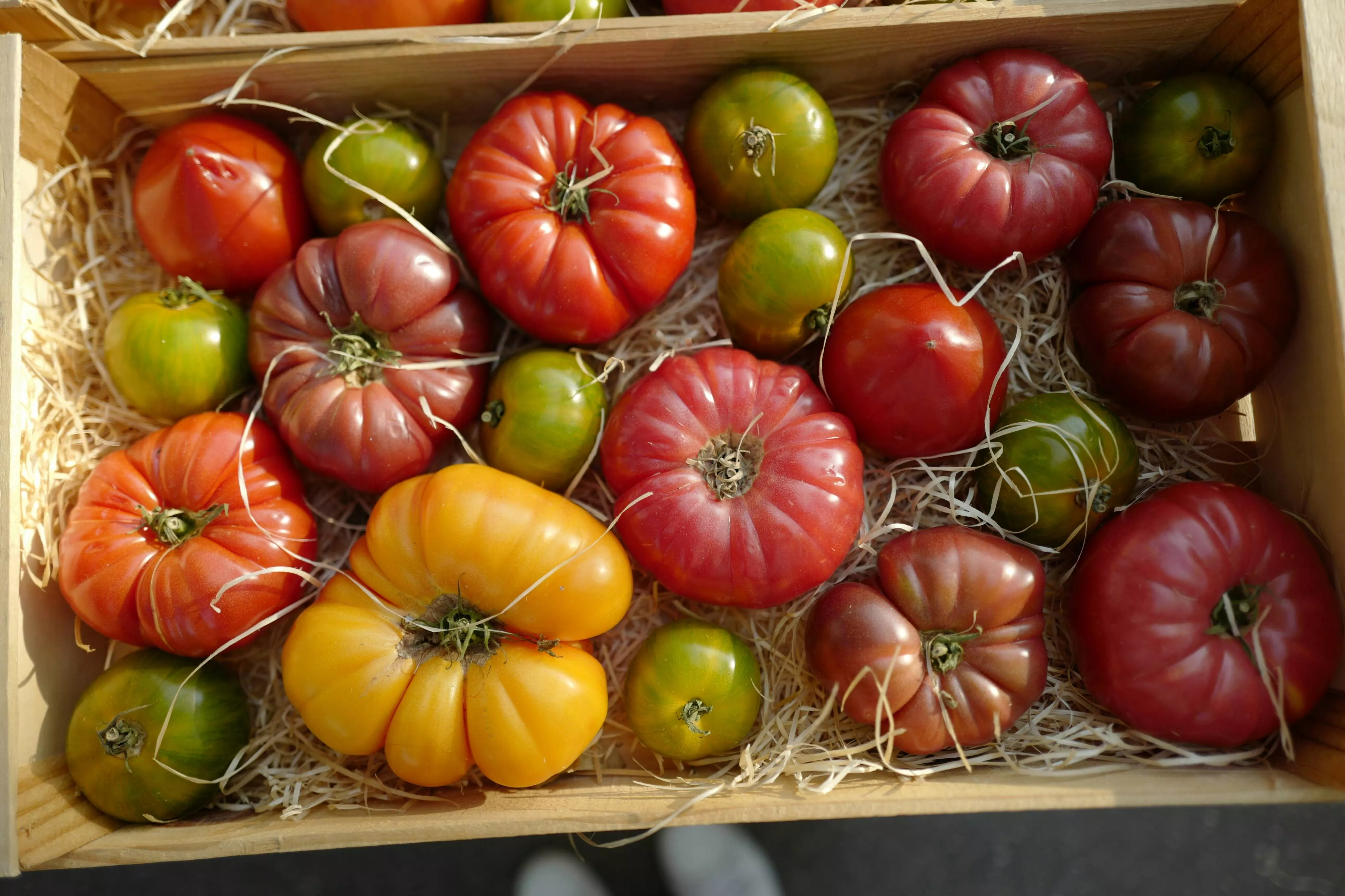 Caja de tomates / UNSPLASH