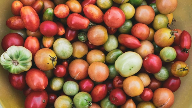 Surtido de tomates / UNSPLASH Surtido de tomates / UNSPLASH