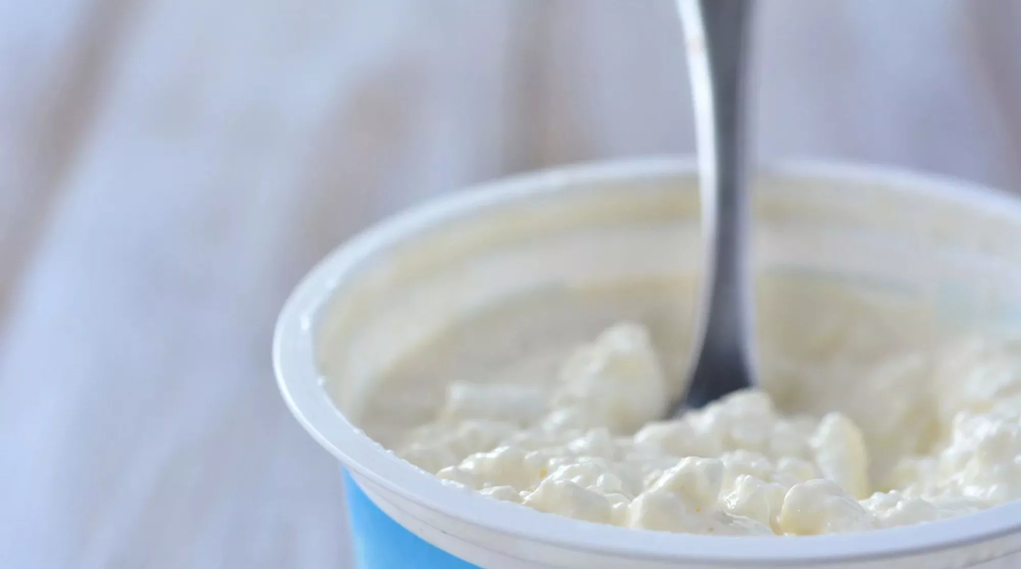 Una tarrina de queso cottage en una imagen de archivo / Canva 