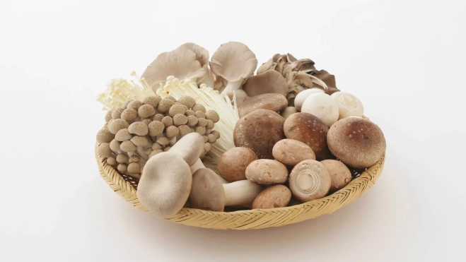 Champiñones y otras setas de otoño / Canva Champiñones y otras setas de otoño / Canva