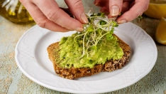 Germinados y microbrotes: ingredientes diminutos que llenan tus platos de sabor y nutrientes