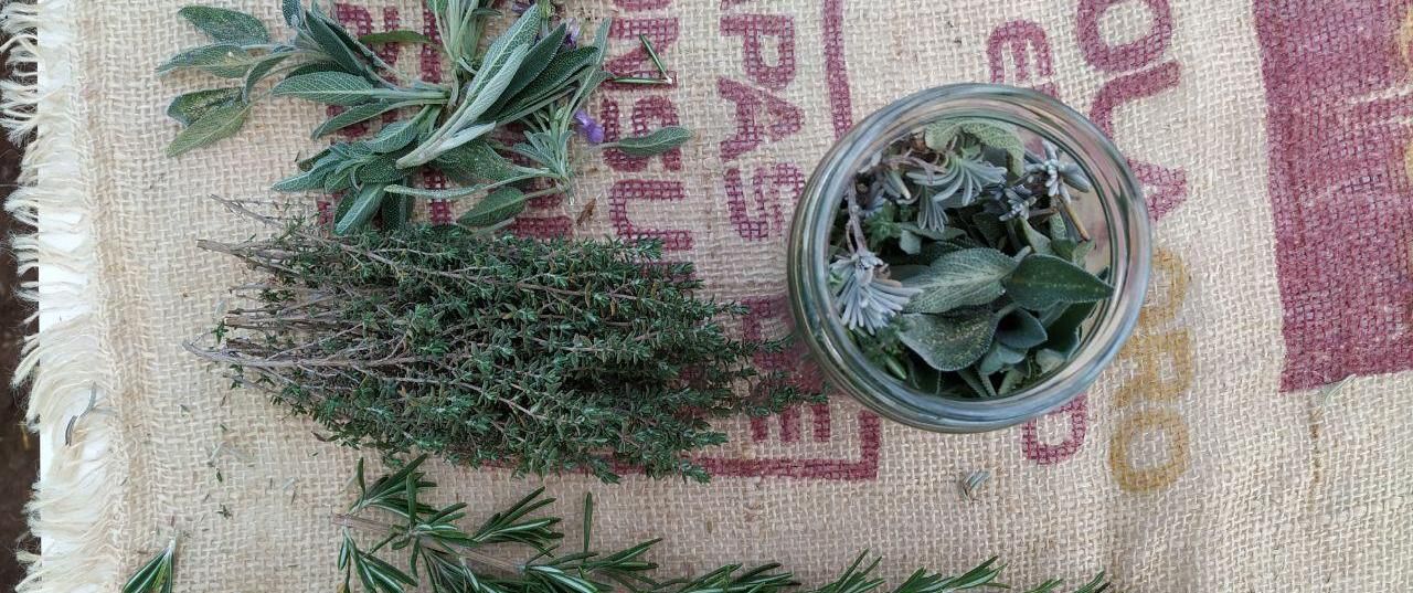 photo_2020-03-16_12-46-36