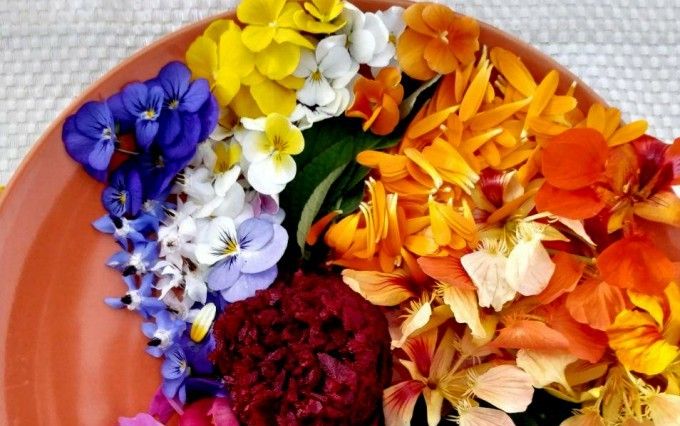 mand2 [Máximo Ancho 1024 Máxima Altura 768]