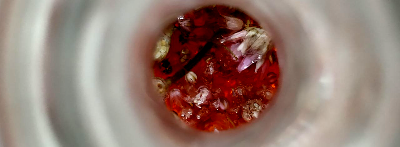 cebollino vinagr.jpg