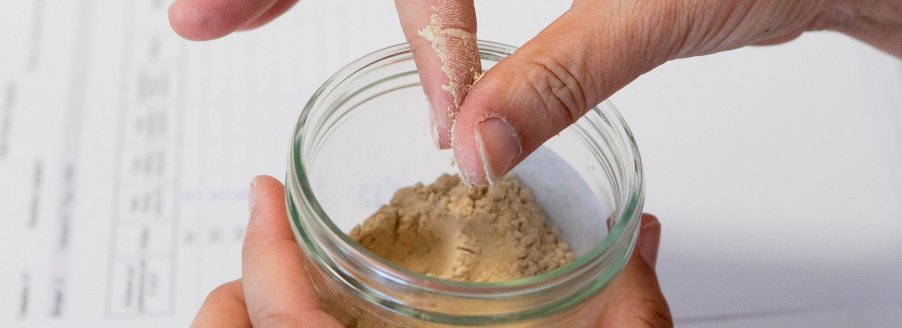 Certamen Agrocanarias Gofio